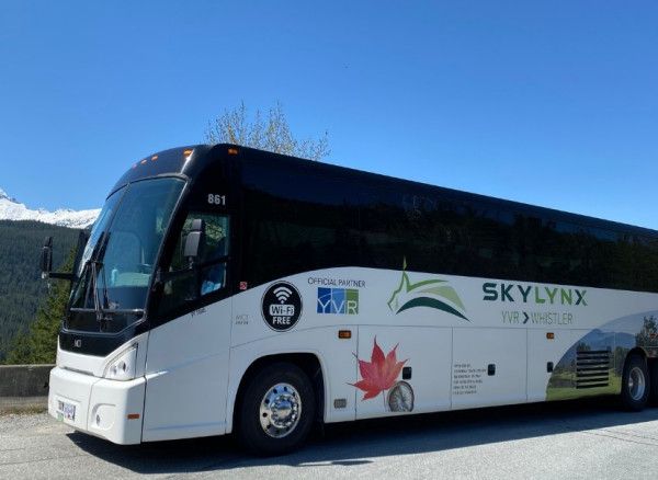 Skylynx — photo 3