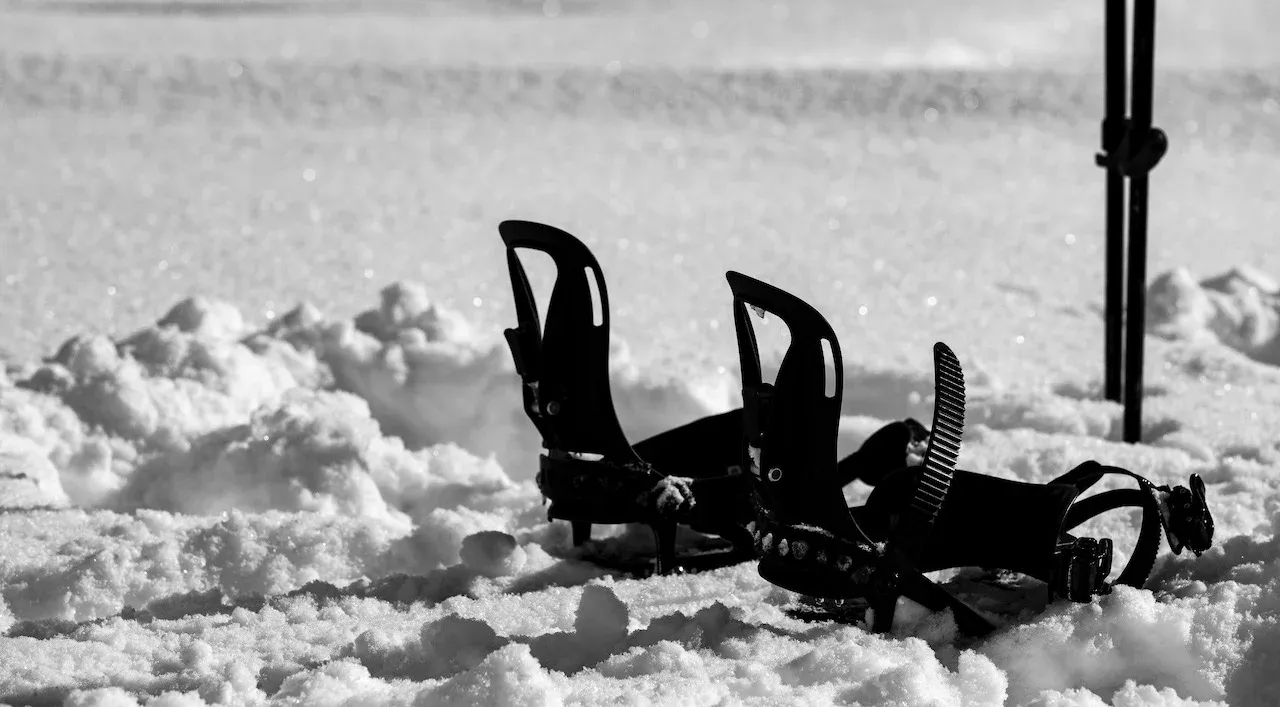 Evolution Whistler — photo 3
